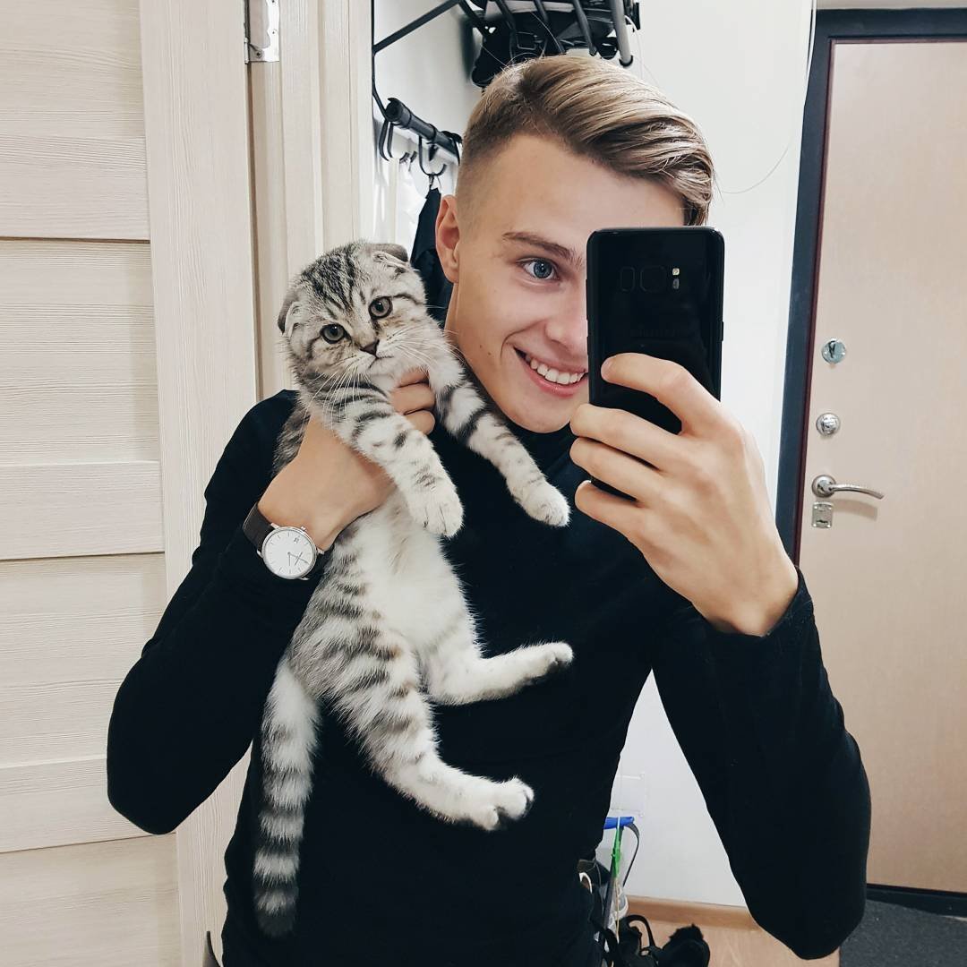 Белый персидский котенок