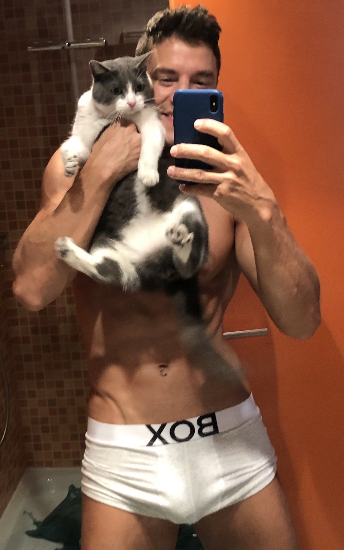 Кот с телефоном