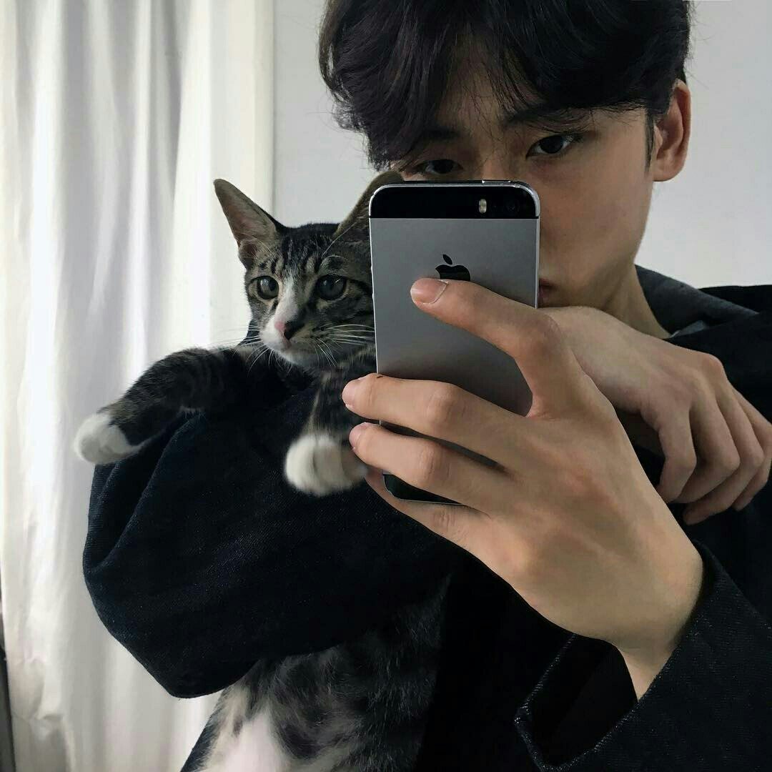 Кот с телефоном селфи