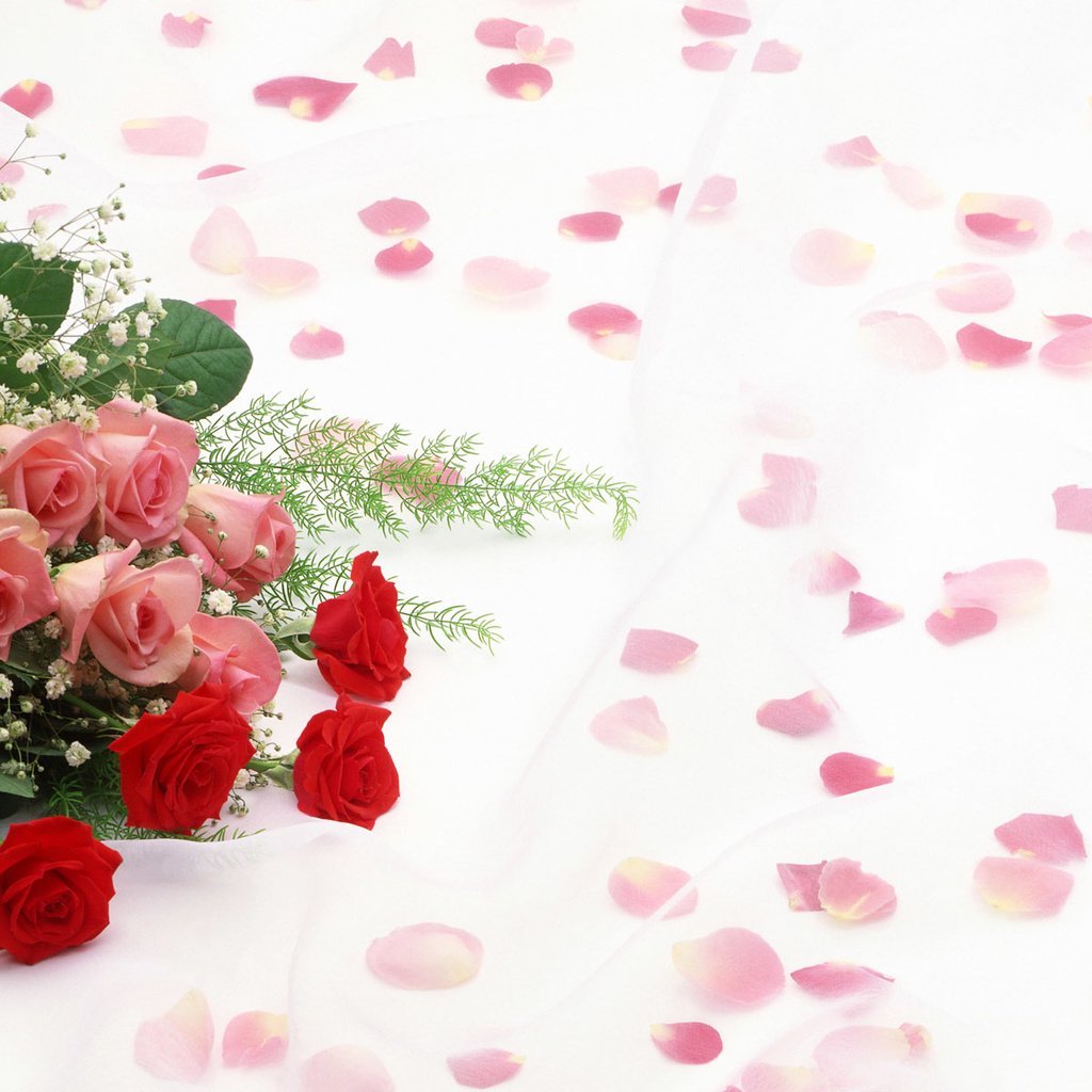 С днём рождения Елена стихи прикольные