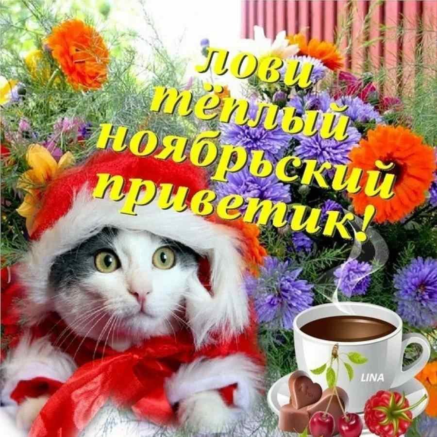 Открытка как дела прикольная