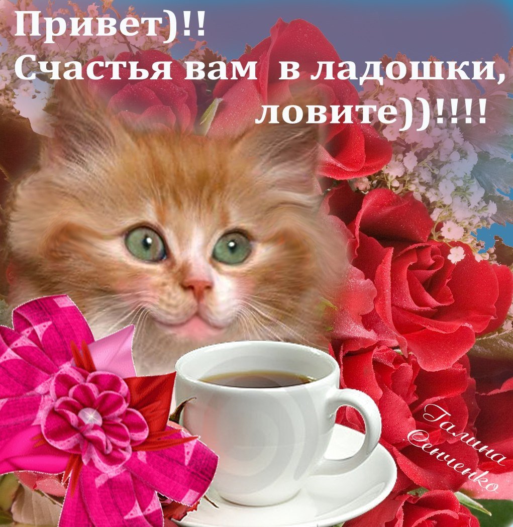 Зимний приветик открытки