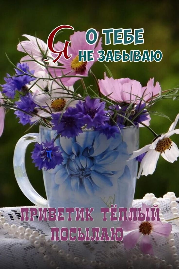 Открытки приветики