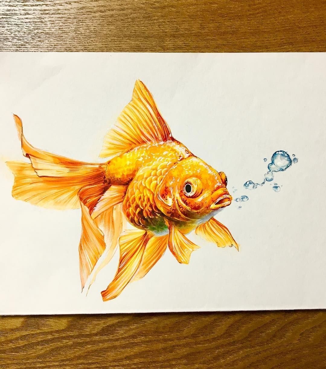 Золотая рыбка цветными карандашами