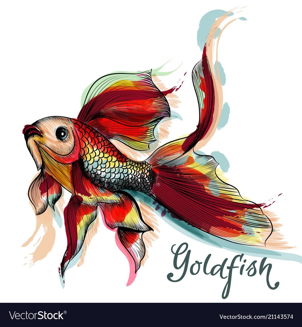 Рыба акварель вектор