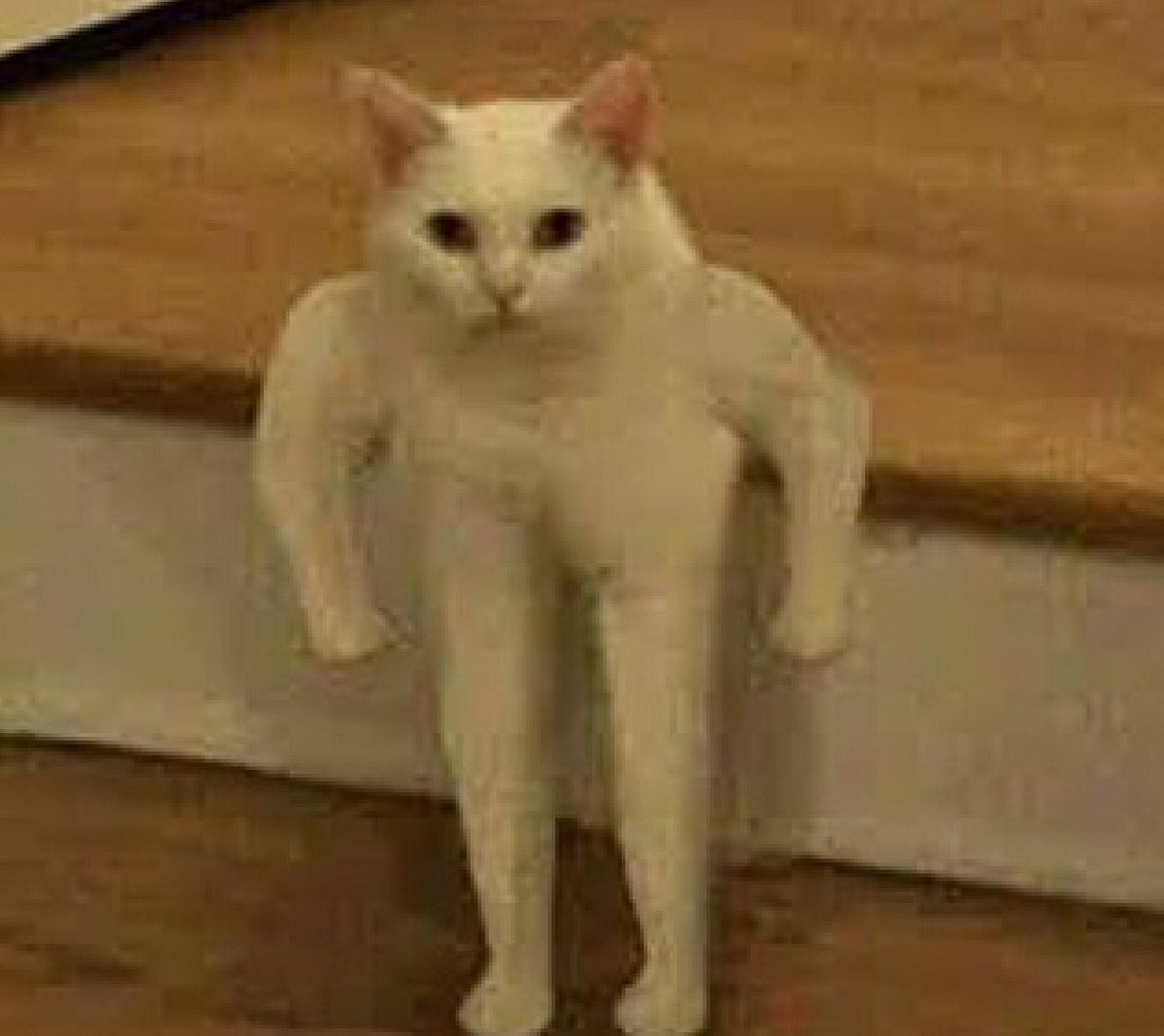 Кот с руками Мем