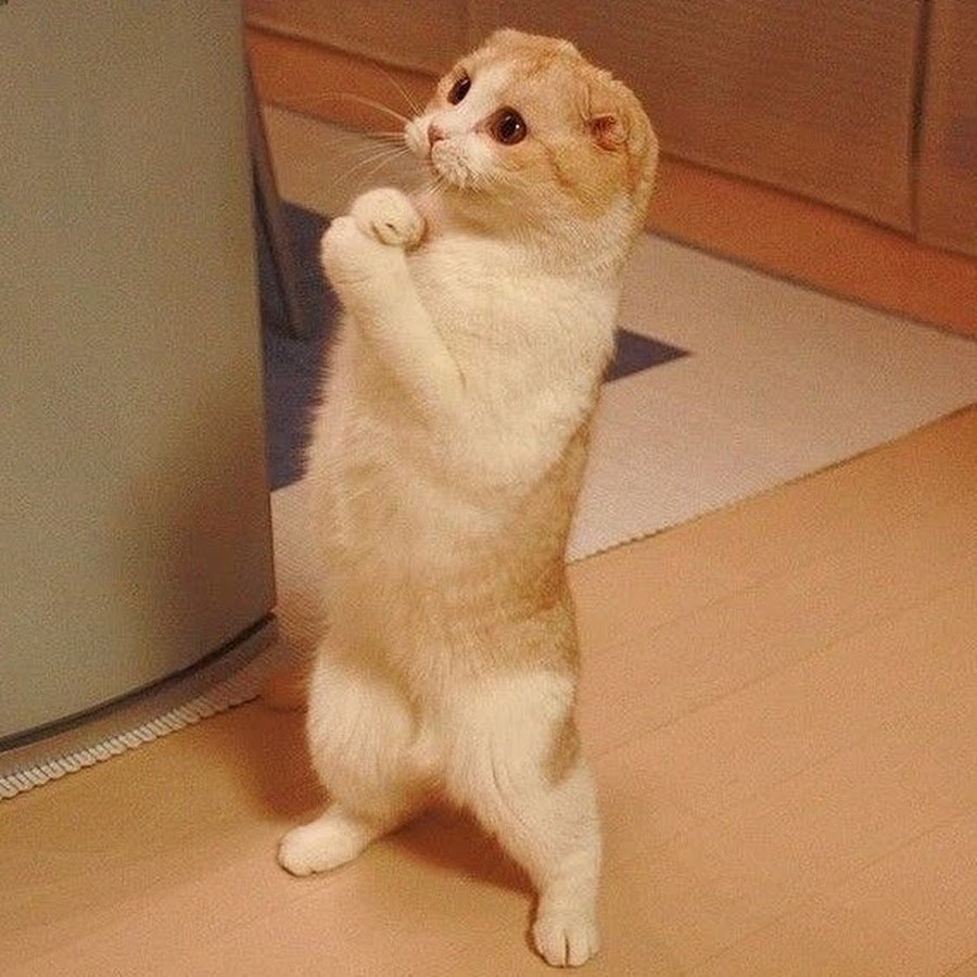 Не обижайся на меня