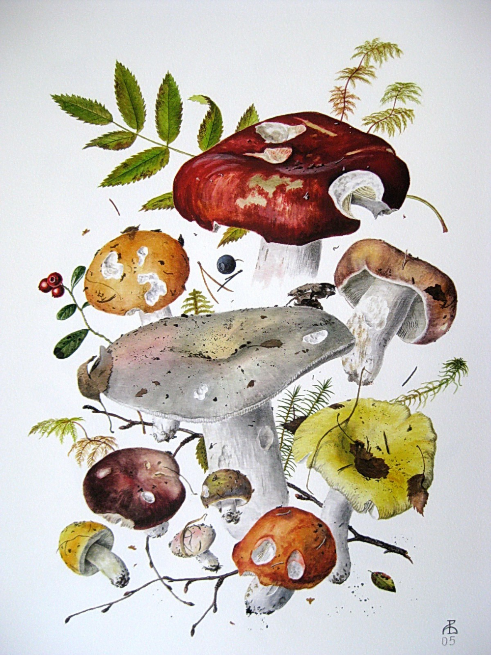 Александр Вязьменский художник грибы