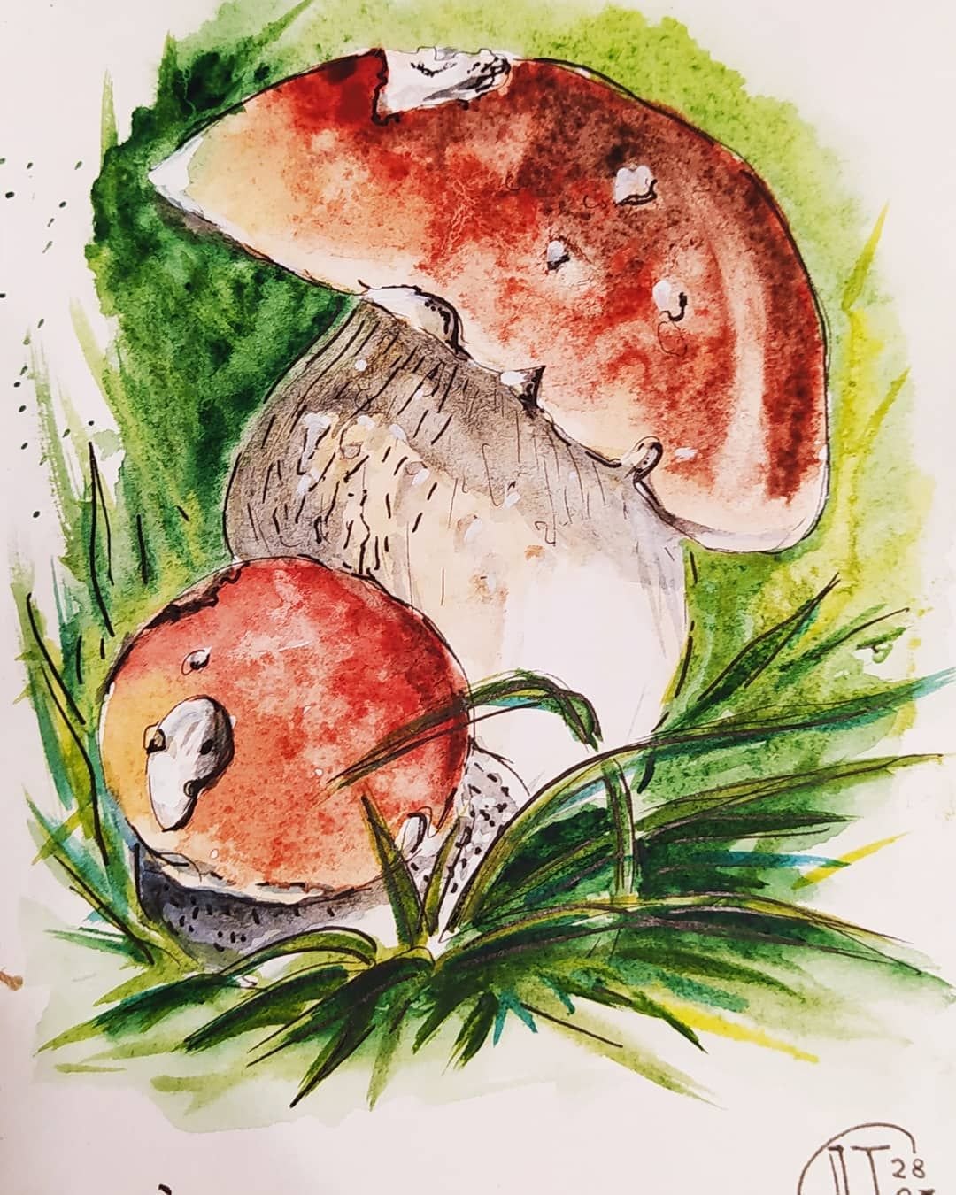 Нарисовать грибы в лесу