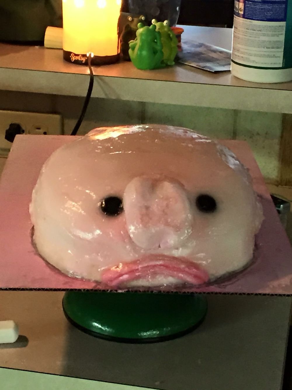 Рыба капля из семейства психролютовые