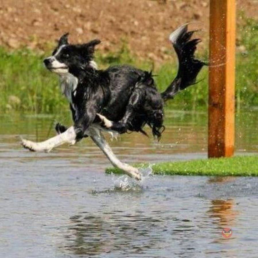 Картинки пора домой с работы прикольные