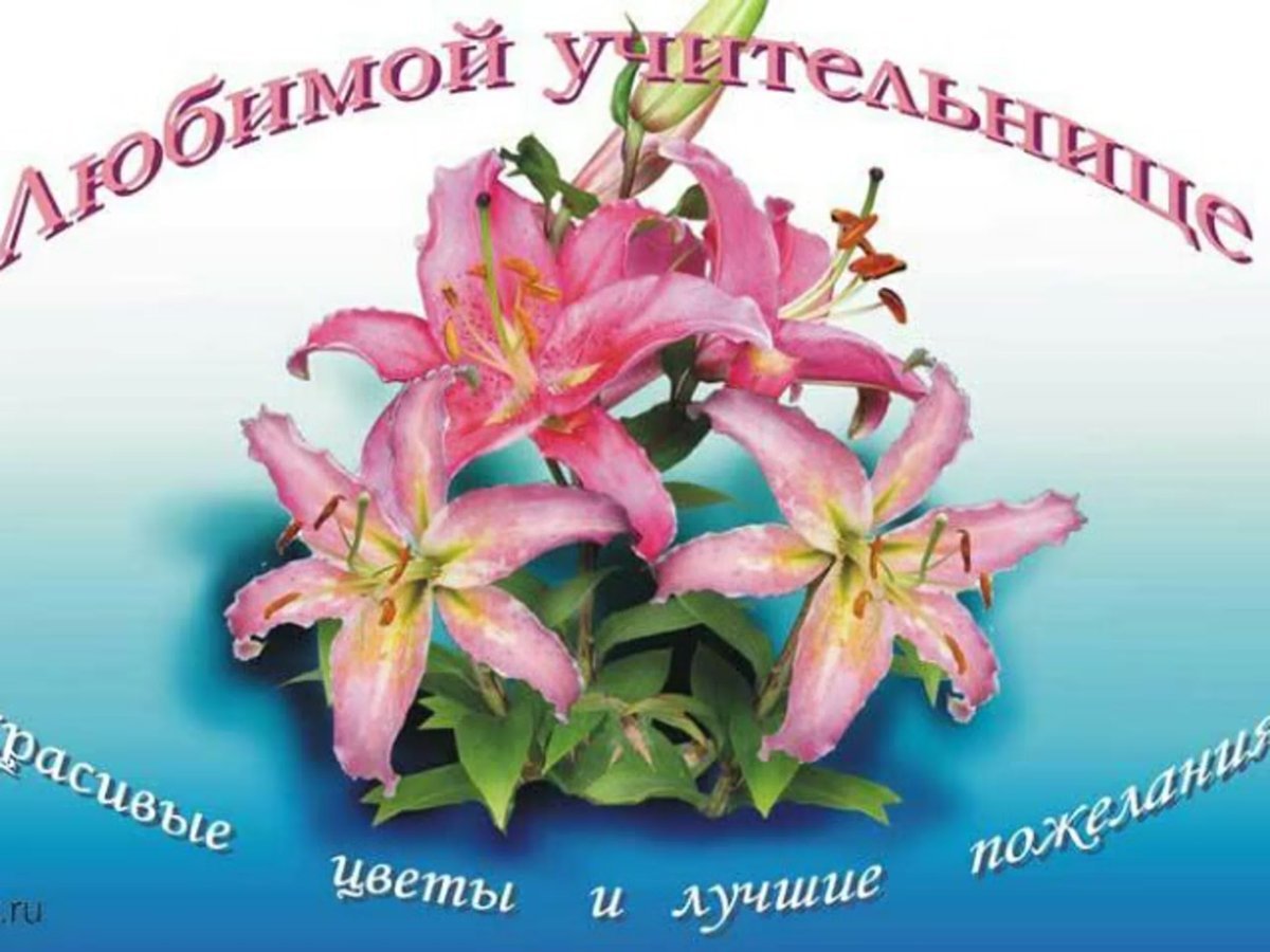 Лучшему учителю открытка