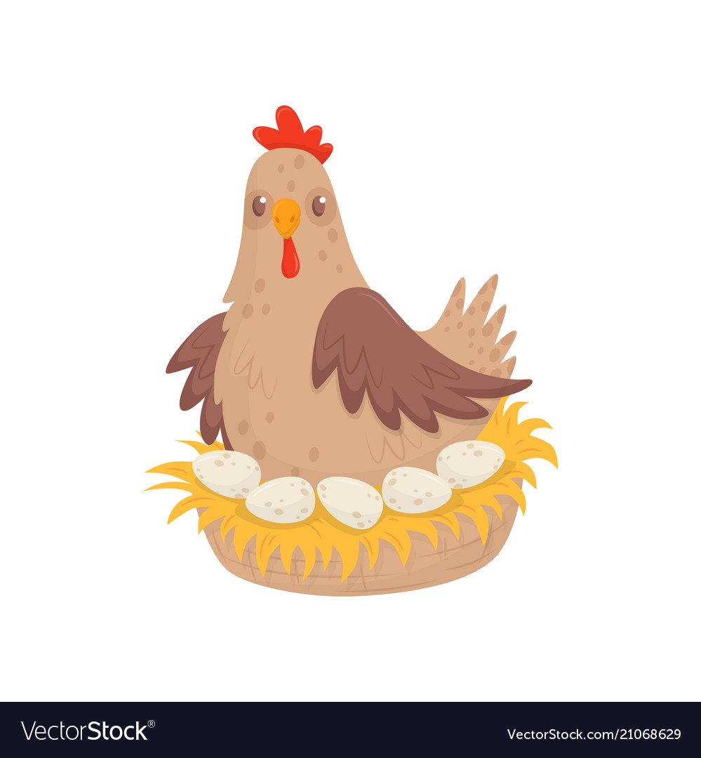 Курица сидит