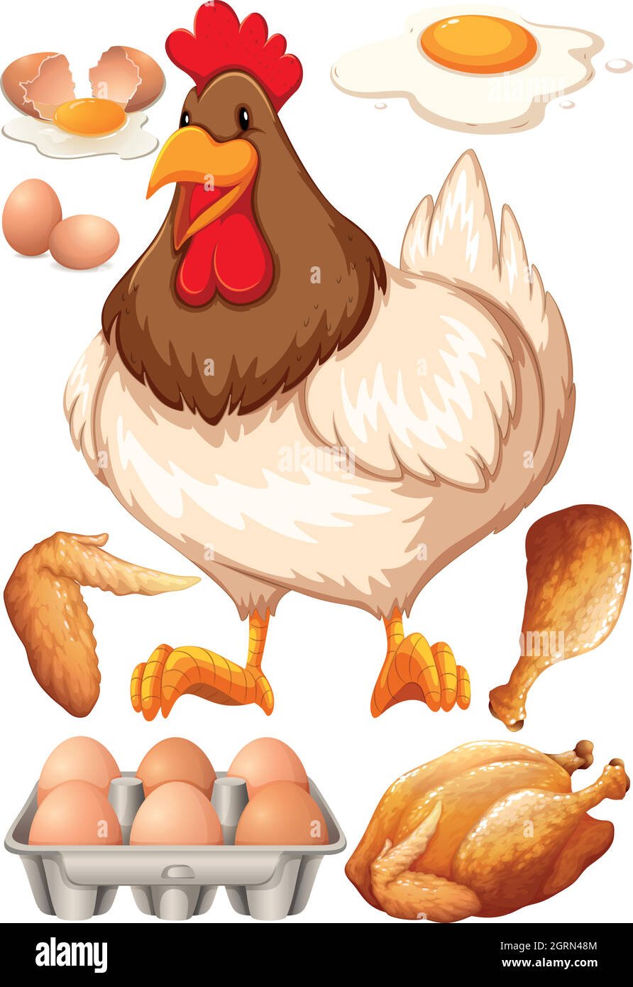 Рисунок продуктов курицы