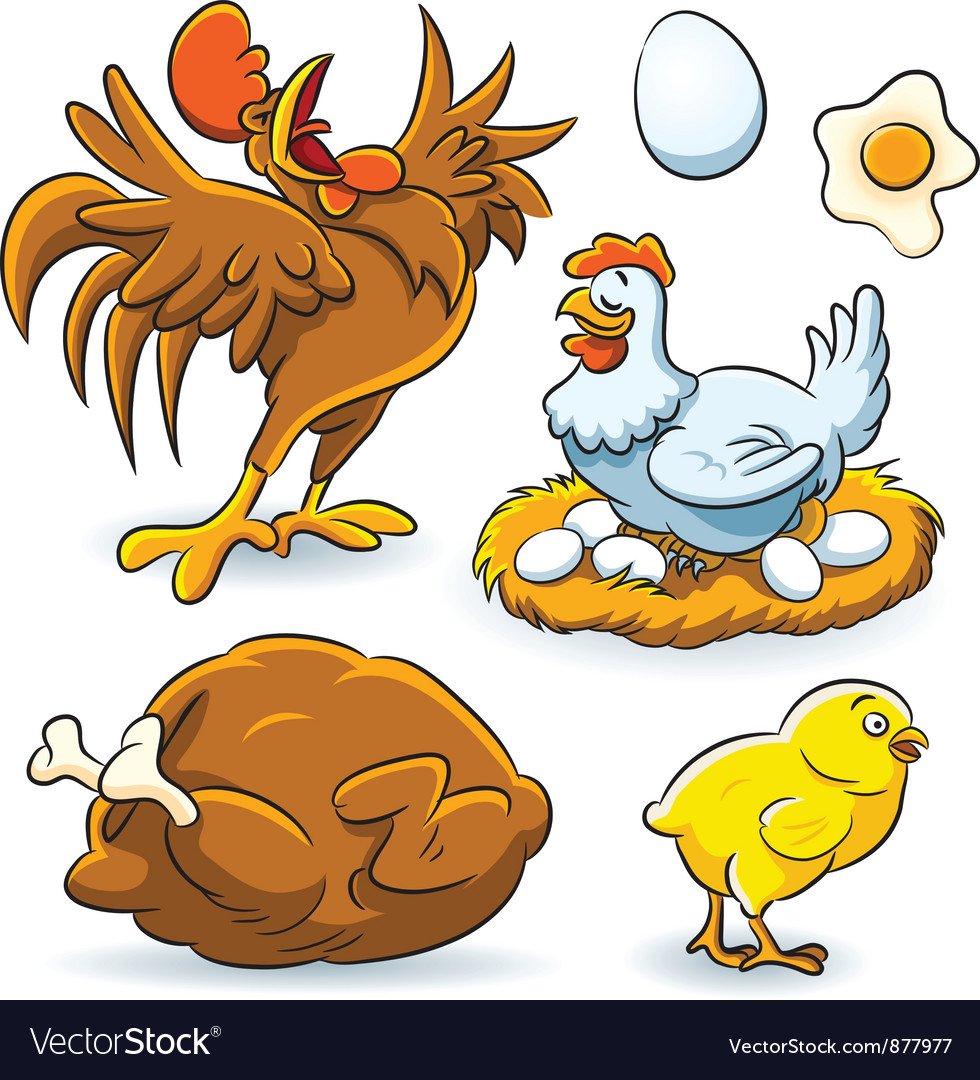 Курица Несушка вектор