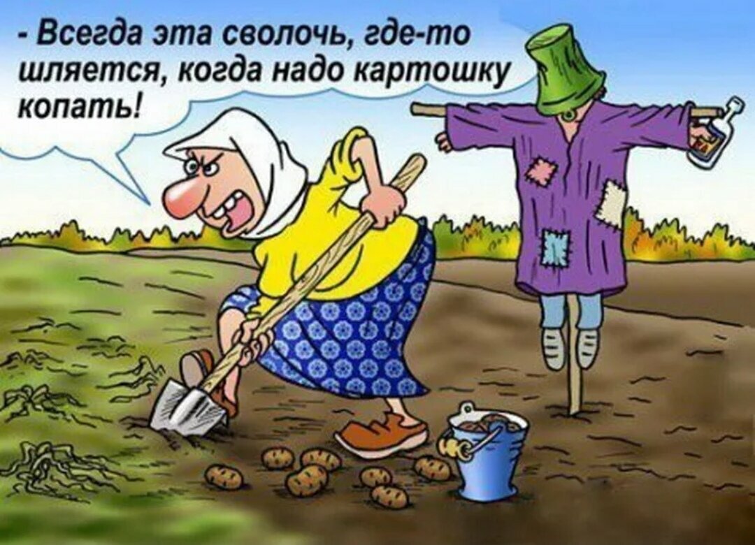 Анекдоты про дачу в картинках