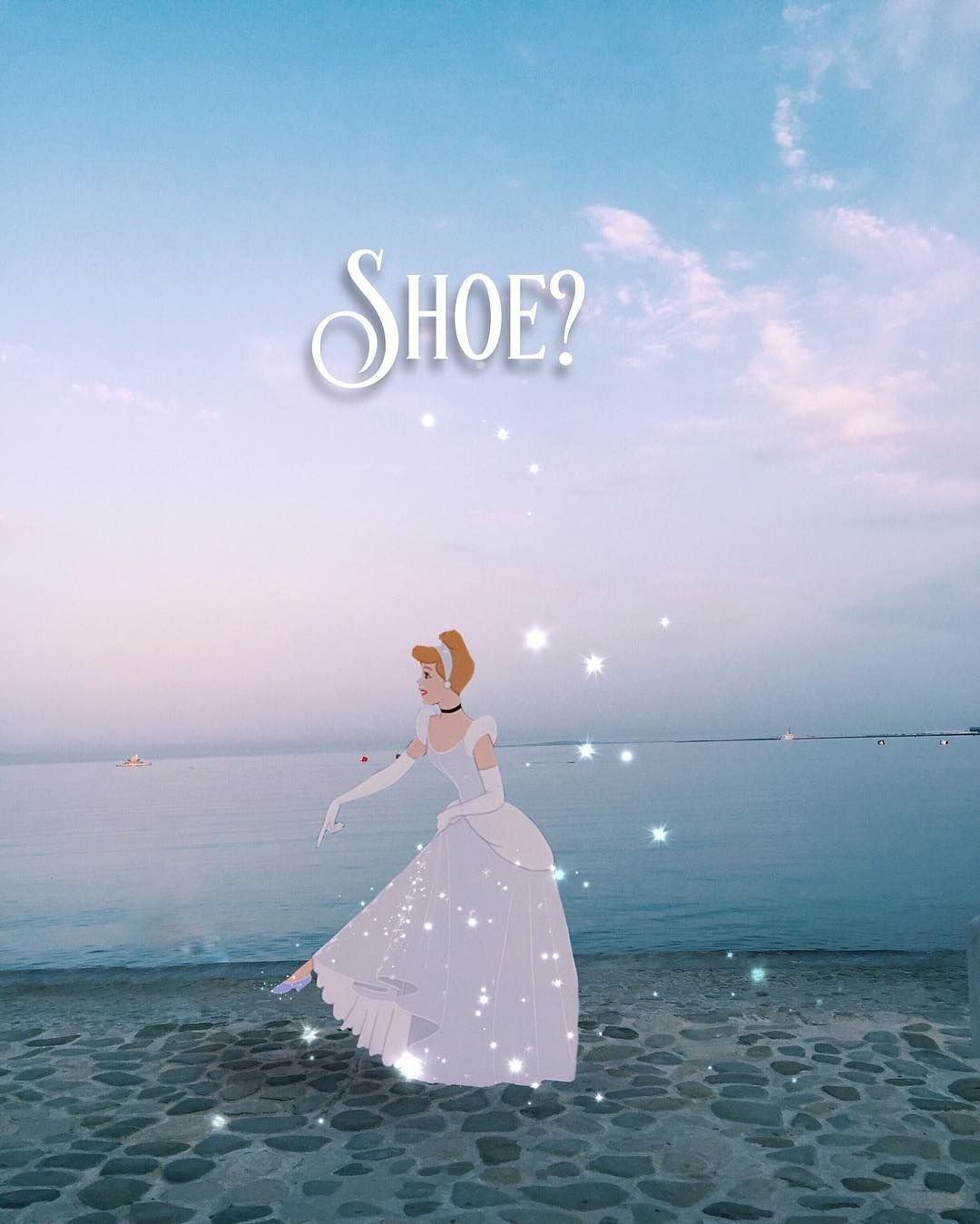 Принцесса Золушка