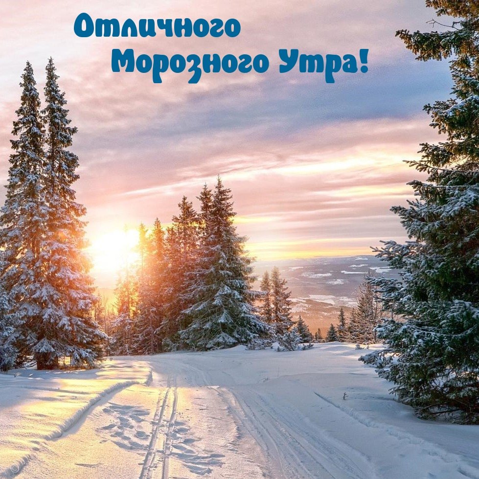 Доброе утро Снеговик