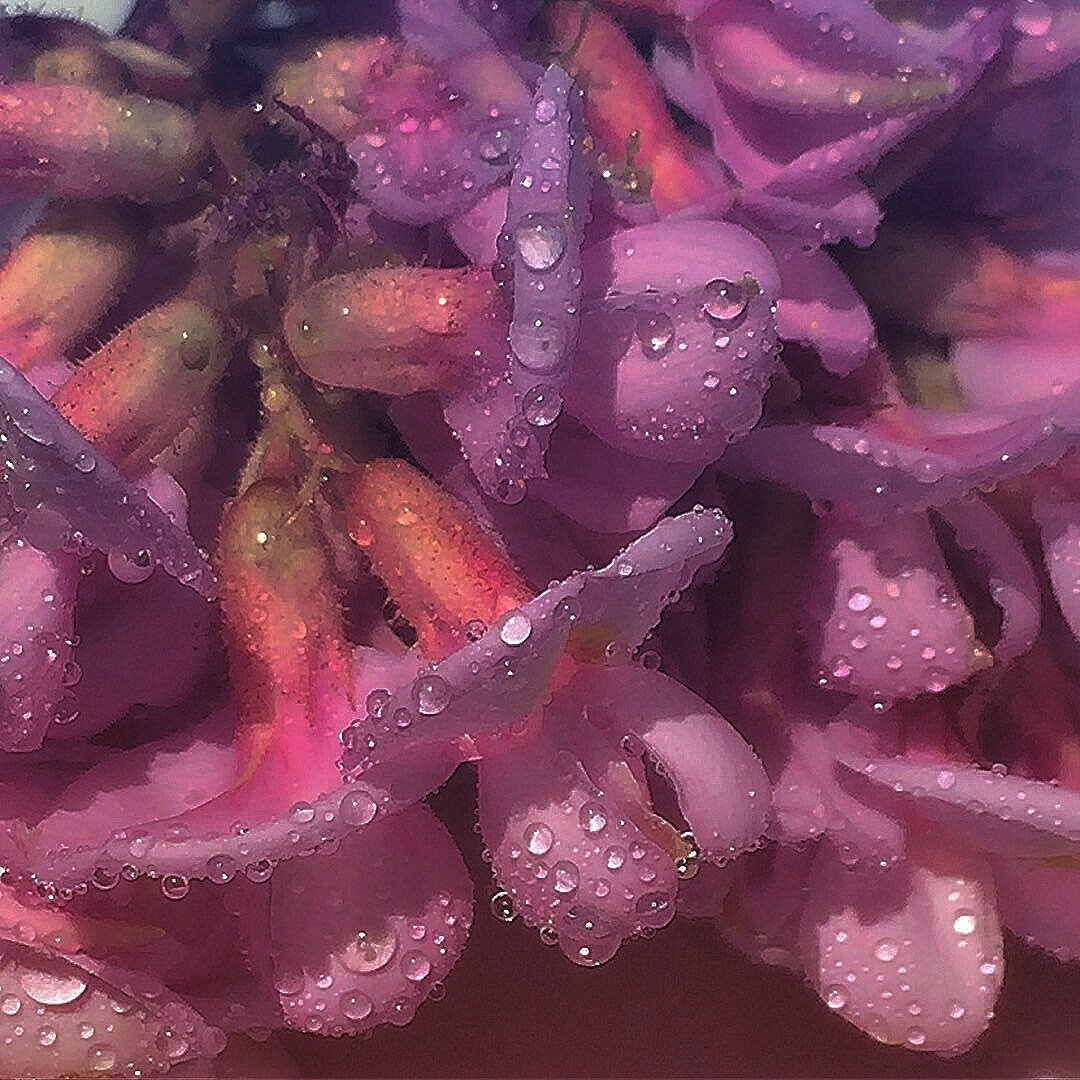 Сиреноголовый монстр SCP