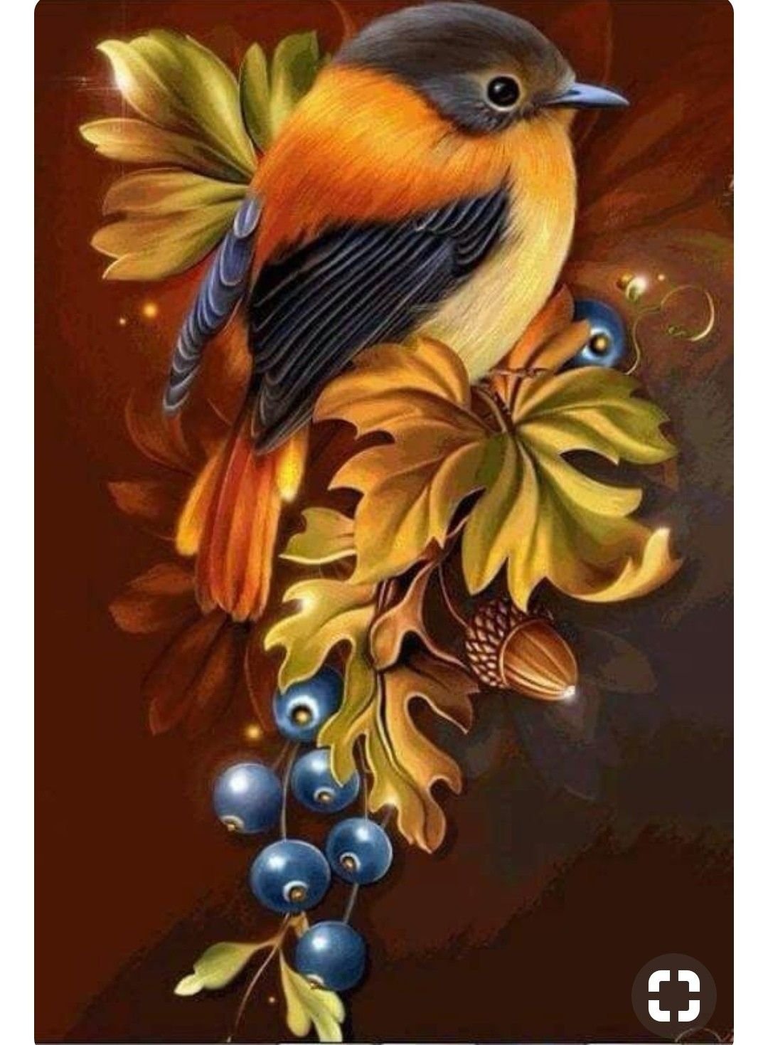 Красивая птица рисунок