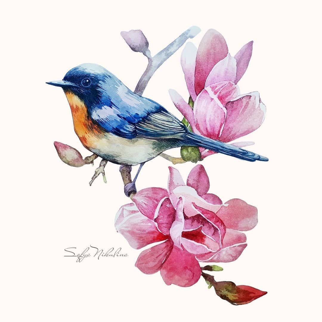 Цветы птицы акварелью