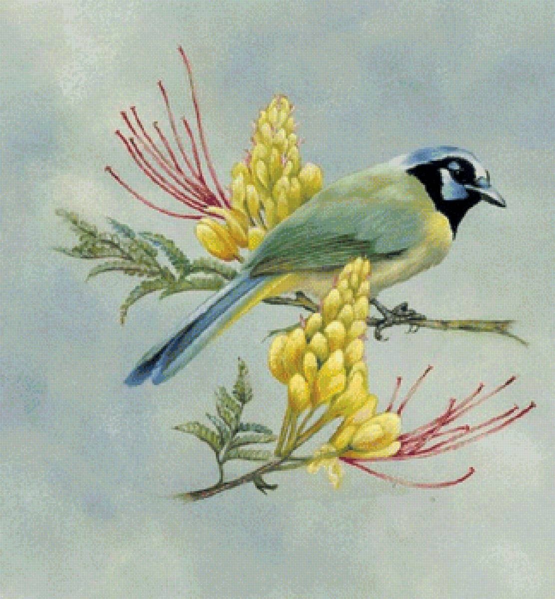 Художник Шерри Нельсон