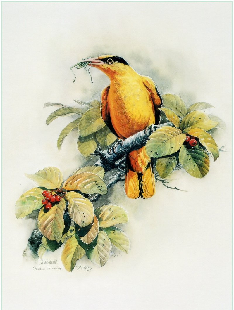 Художник Zeng Xiao Lian -Чайки