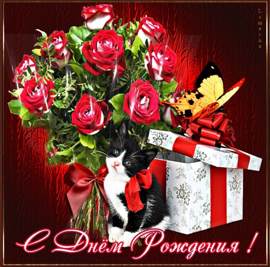 С днём рождения сестра