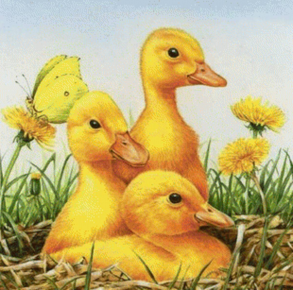 Желтая утка вектор