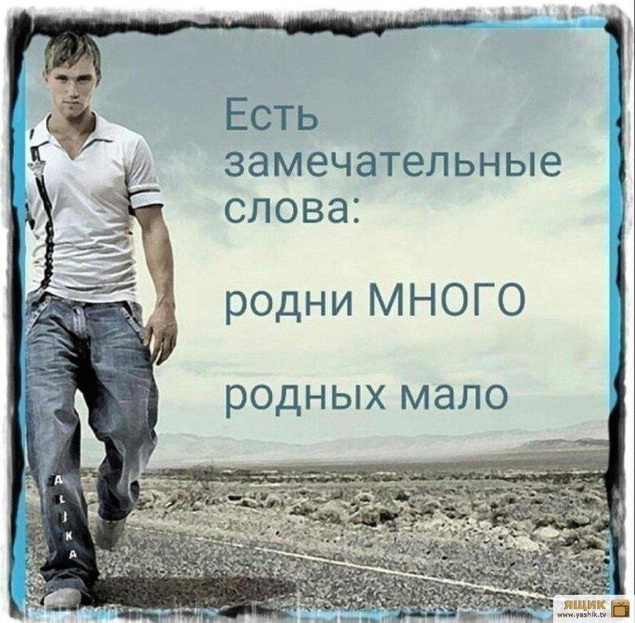 Пр родственников цитаты