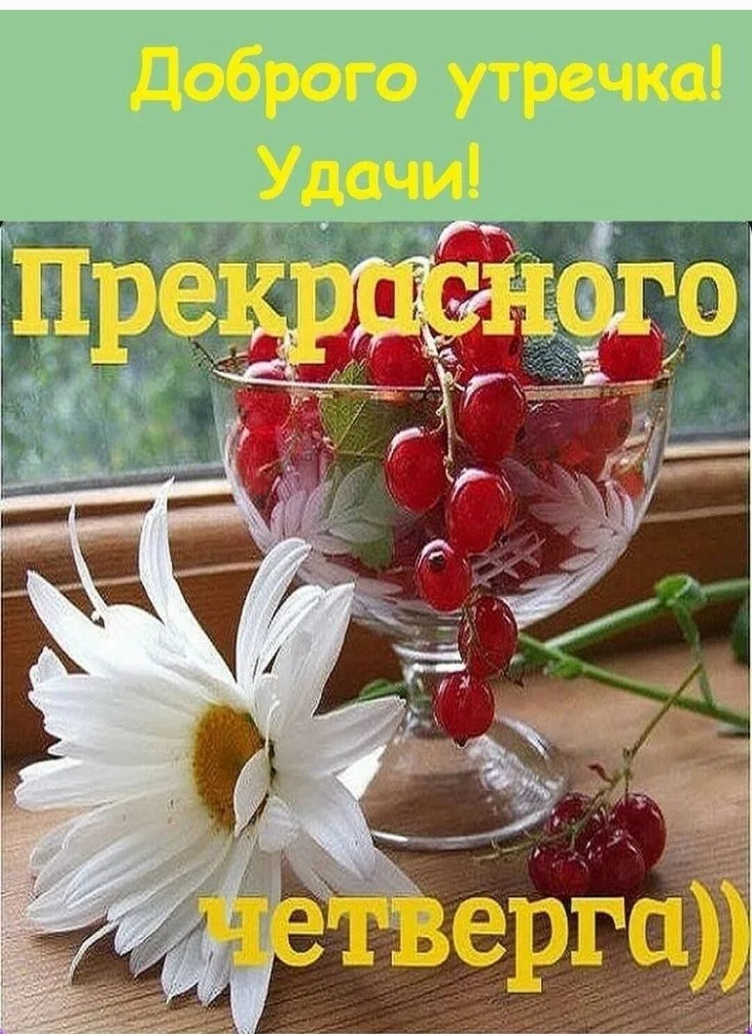 Доброе утро четверга