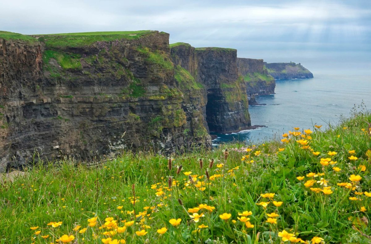 Северная Ирландия природа