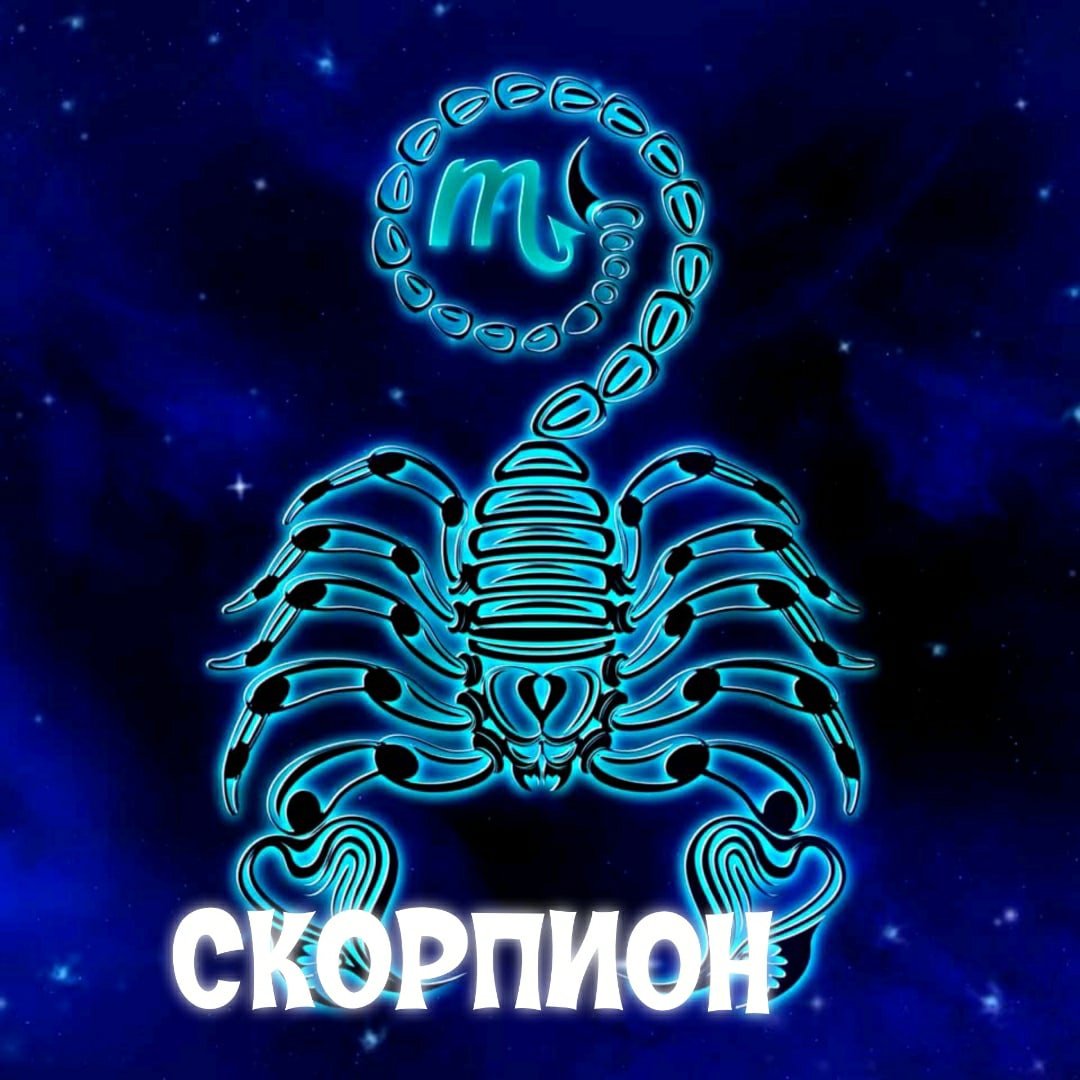 Скор знак Скорпион