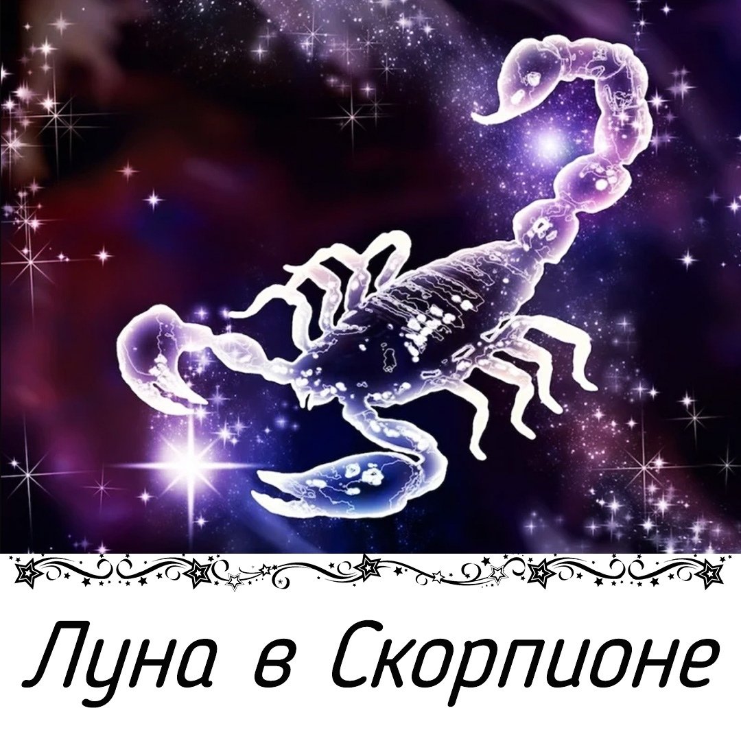 2022 Для скорпиона женщины