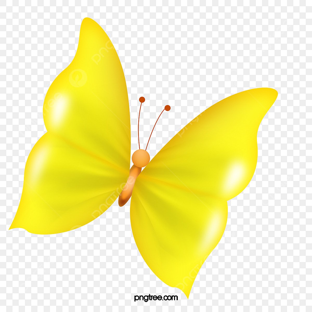 Оранжевая бабочка