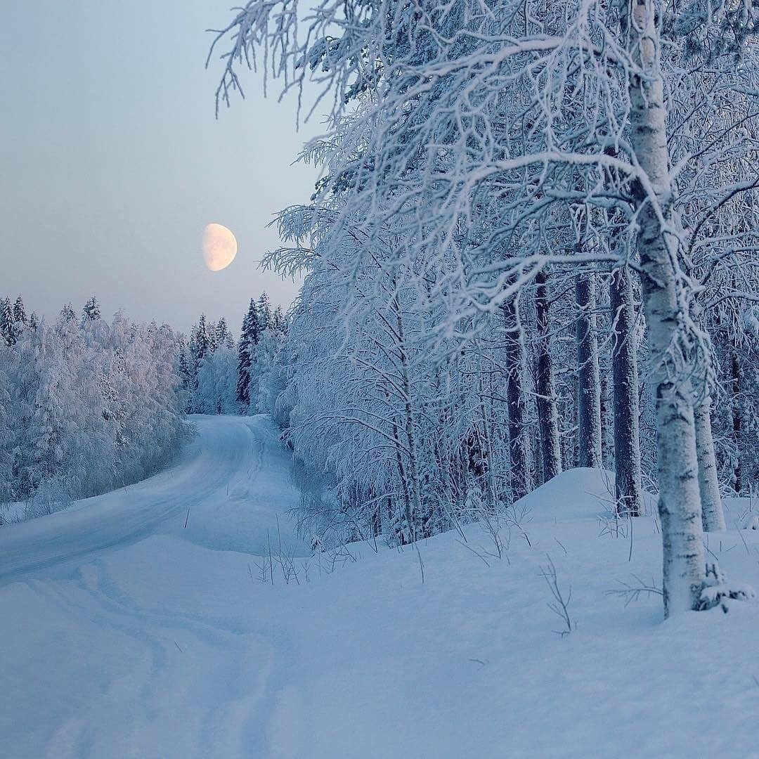 Зимой природа засыпает