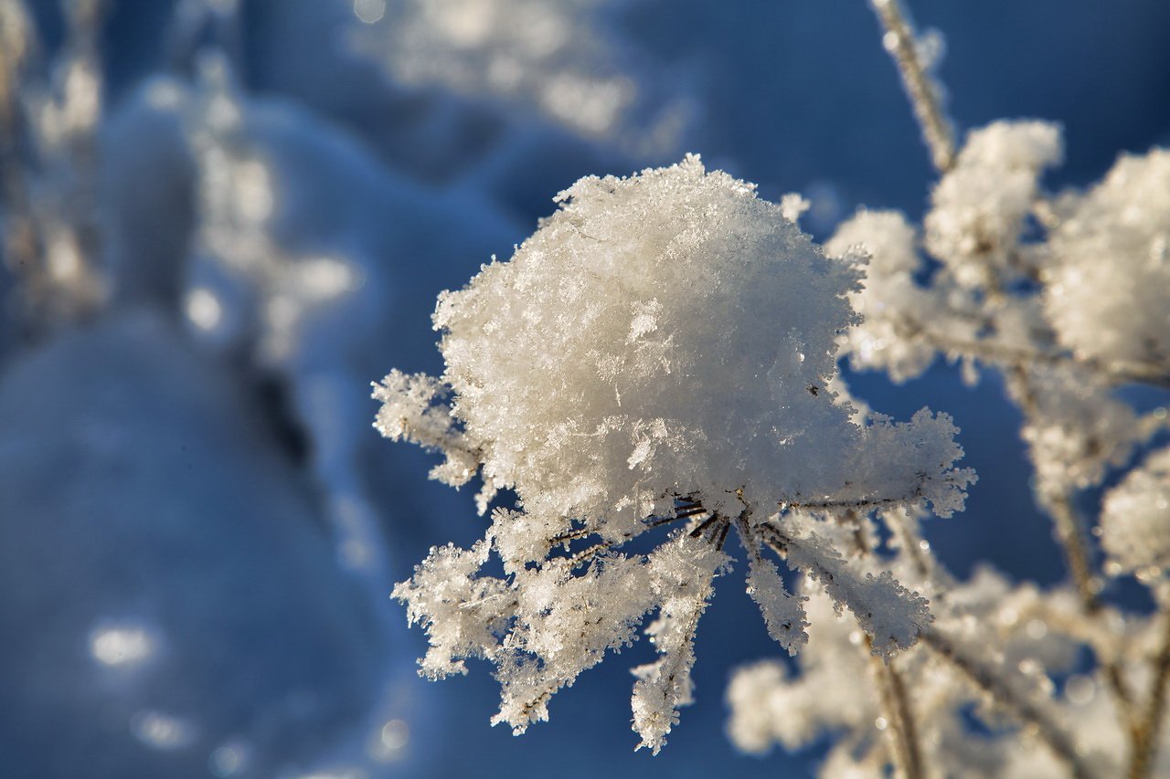 Снежки белые пушистые. Хлопья снега. Пушистый снег. Снежинки в природе. Снежок фото.