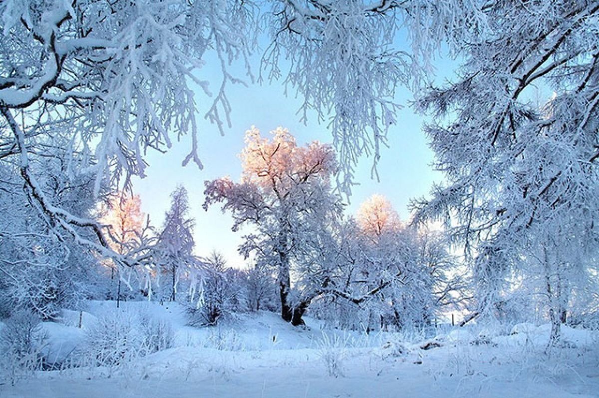 Зимний пейзаж февраль