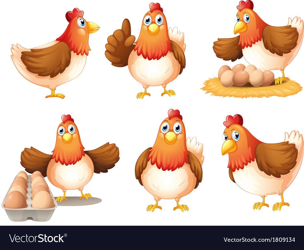 Курица с цыплятами вектор