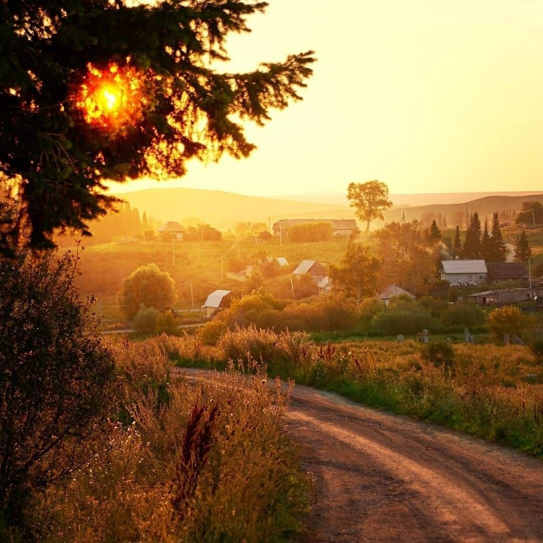 Утро в деревне