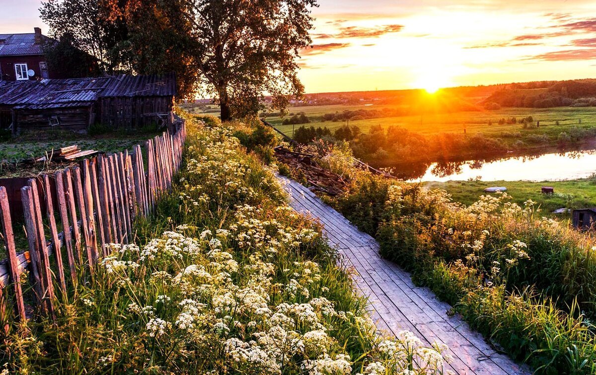 Тёплого уютного вечера