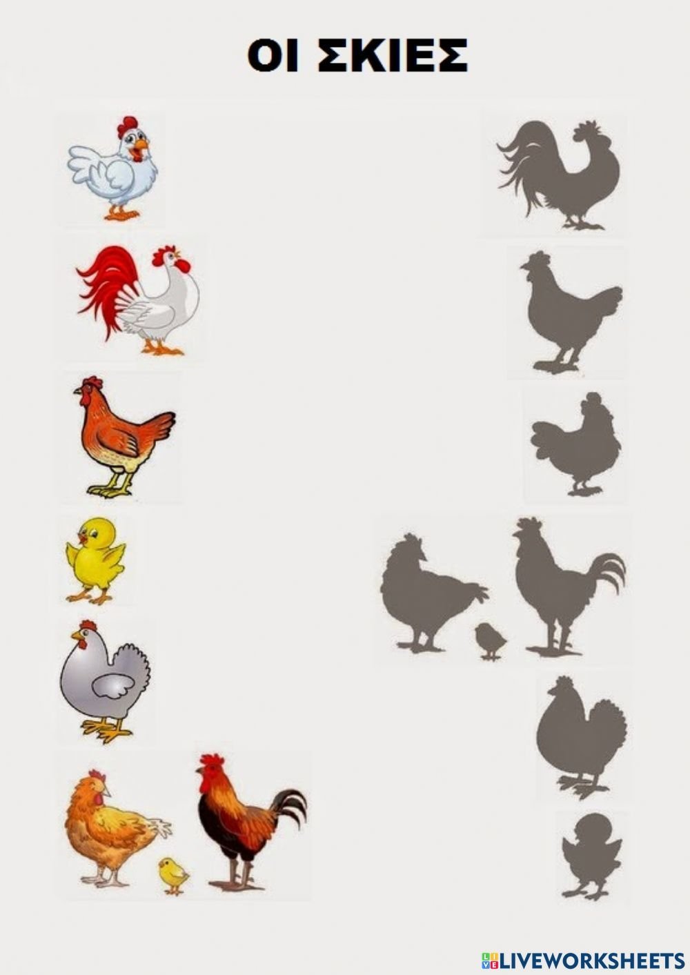 Задания по теме домашние птицы