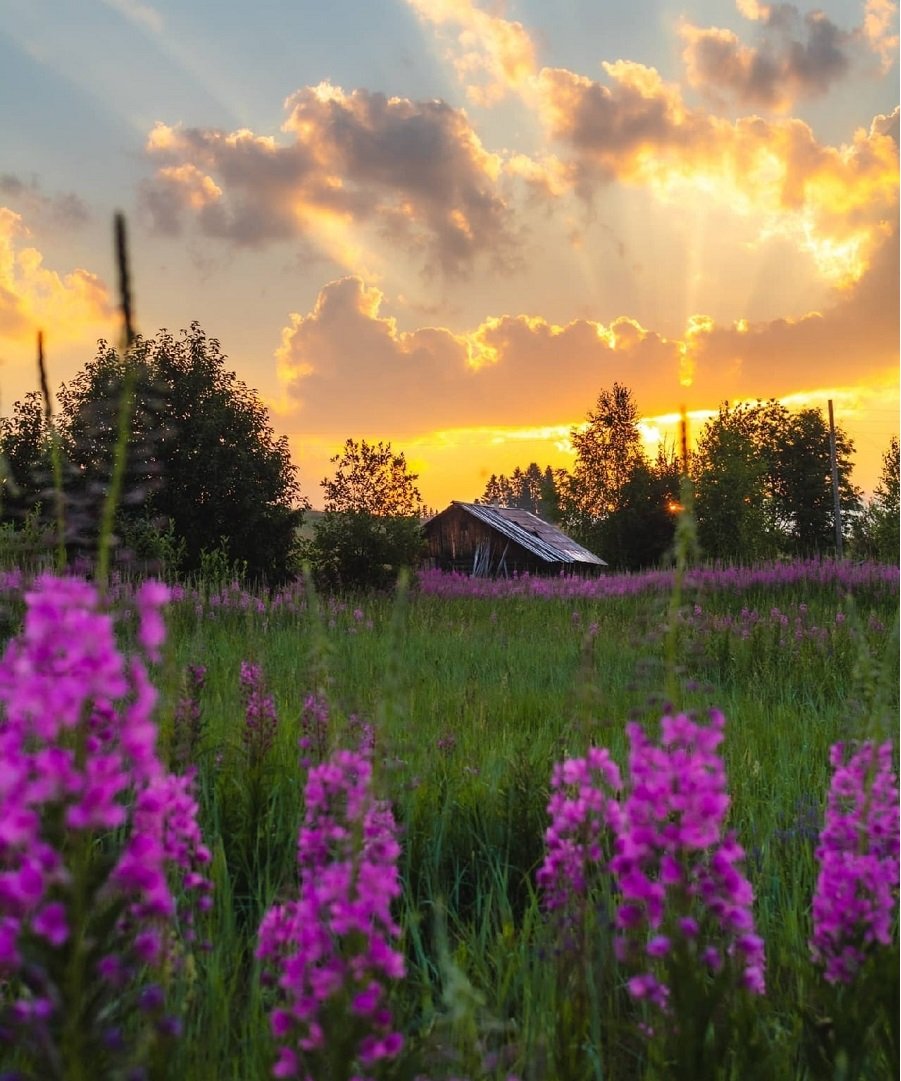 Доброго вечера деревенские картинки