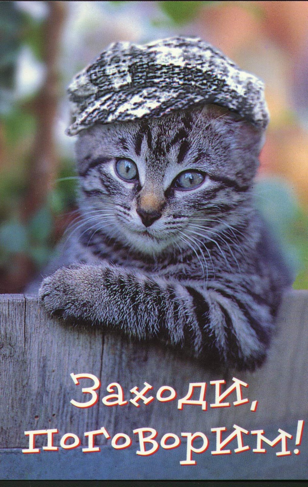 Привет братишка