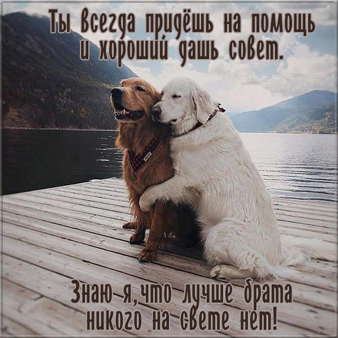 Пожелания брату просто так