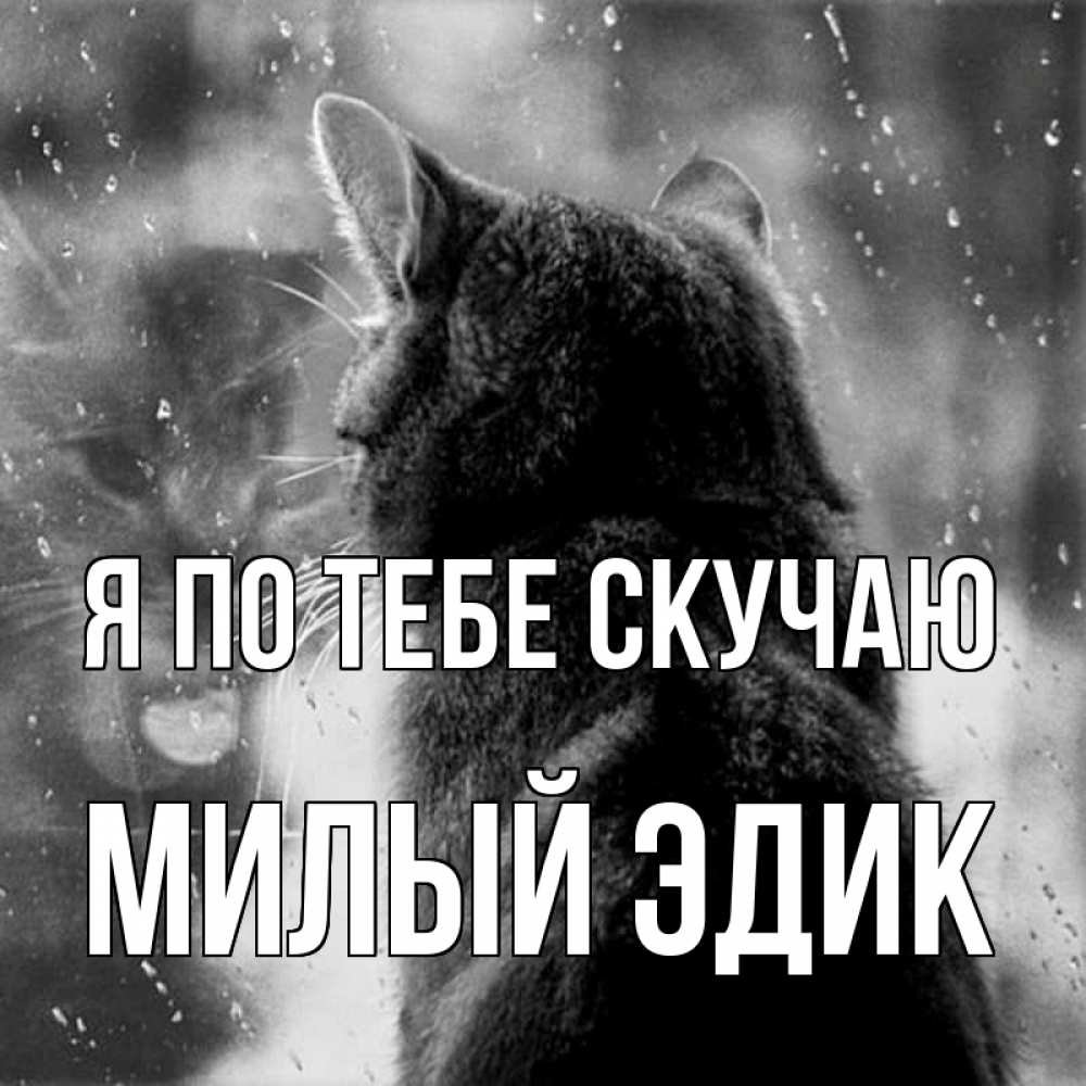 Я очень скучаю по тебе