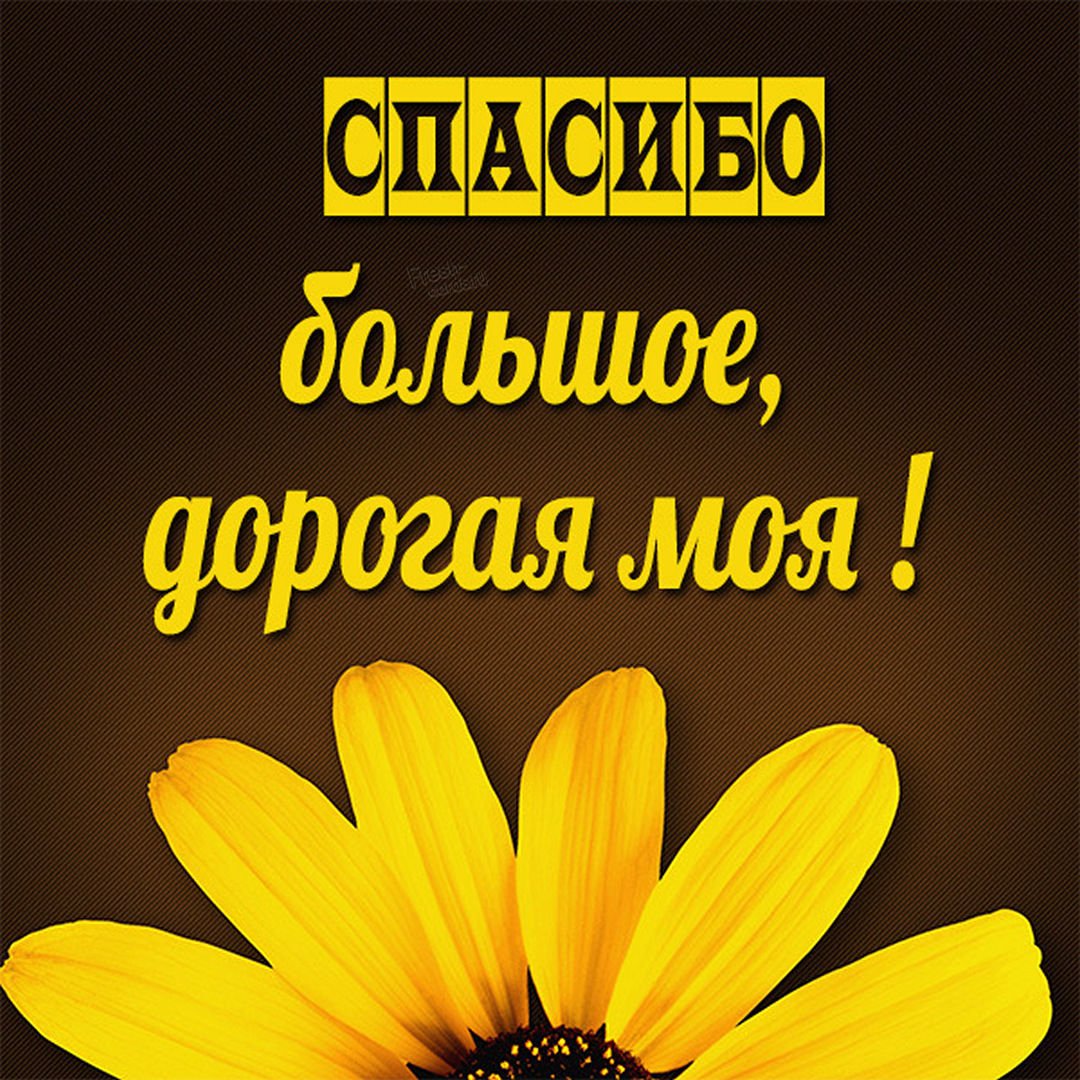 Спасибо доченька