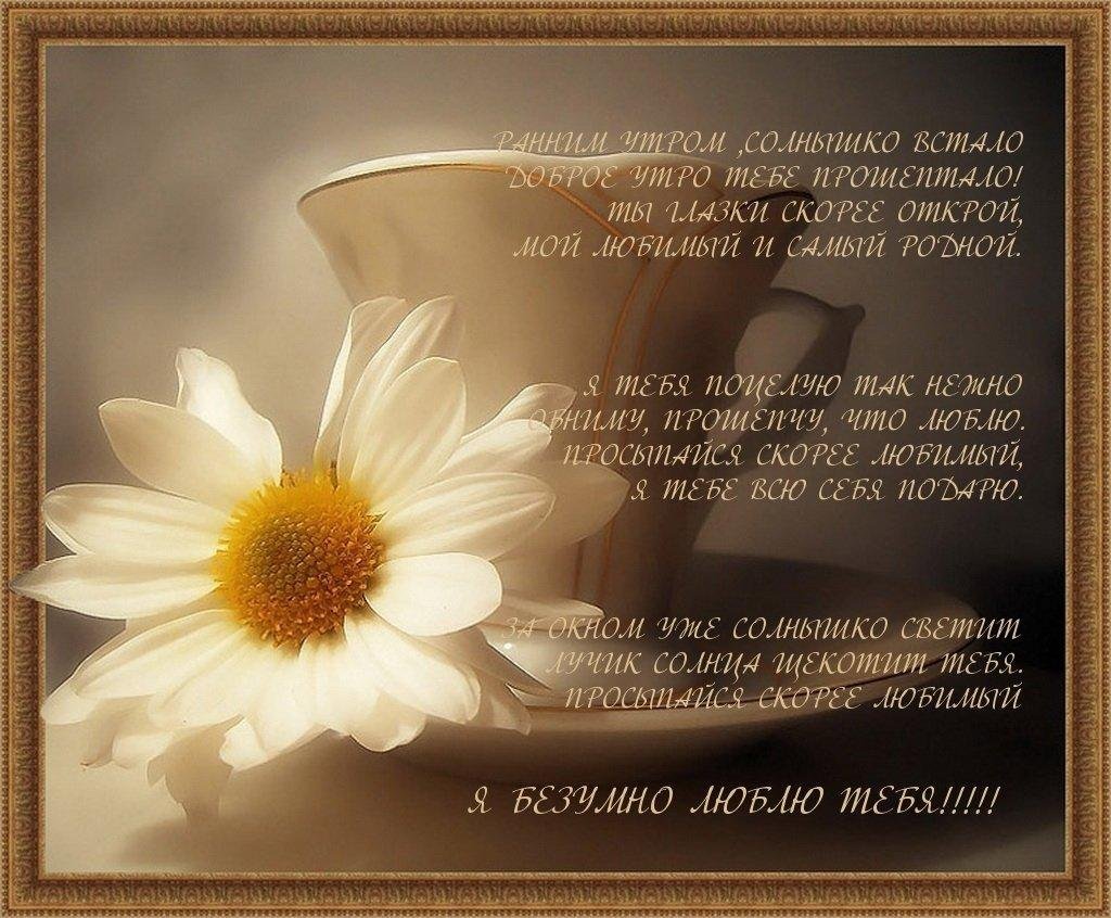 Солнце настроение