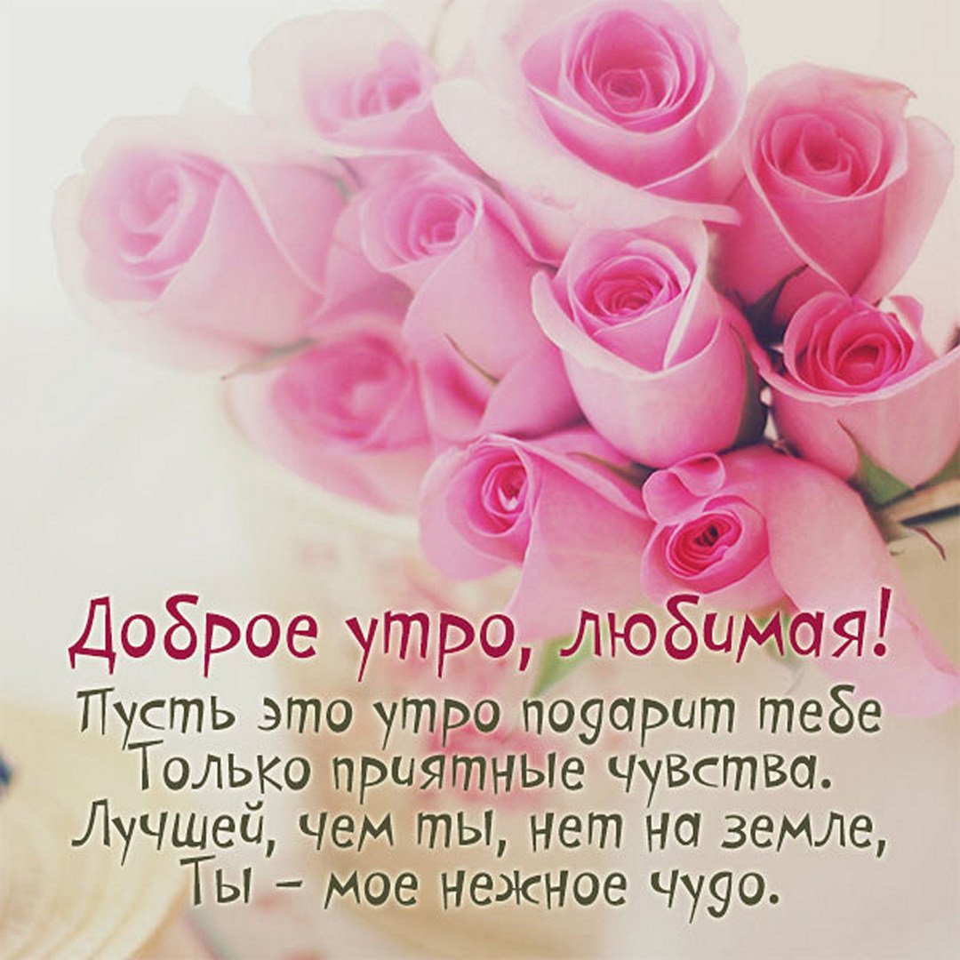 Доброе утро солнышко