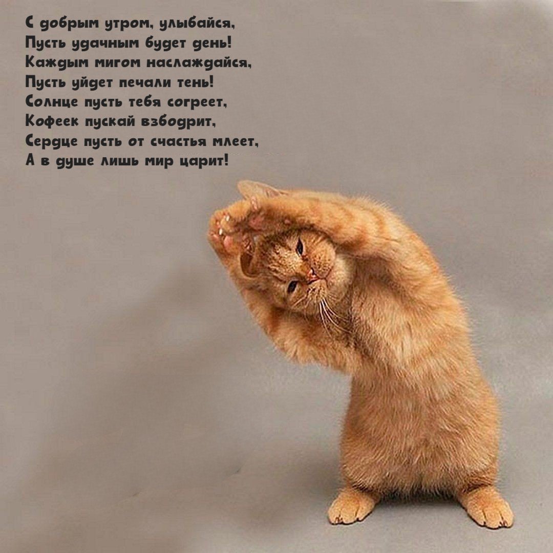 Размышления о счастье